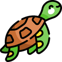 icon of fact about turtles